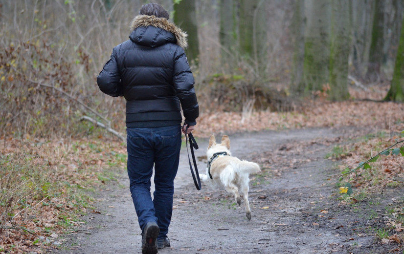 Ook hondendrollen schadelijk voor natuur