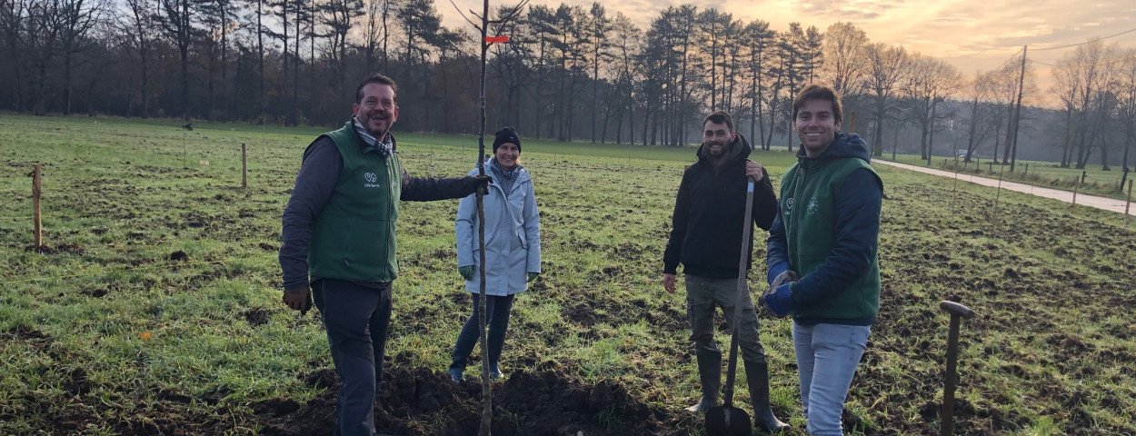 de eerste boom geplant
