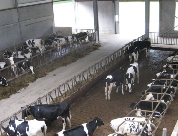 België heeft eisenbundel voor zuivelsector klaar