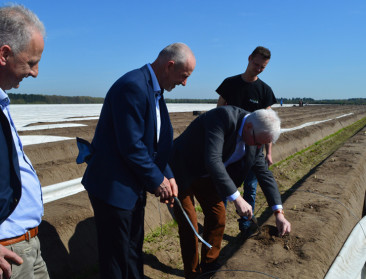 Lentezon geeft het aspergeseizoen een vliegende start