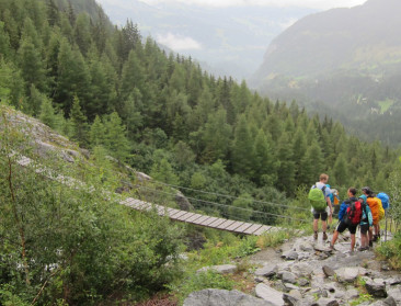 Frankrijk huisvest "zoals gepland" 500 wolven