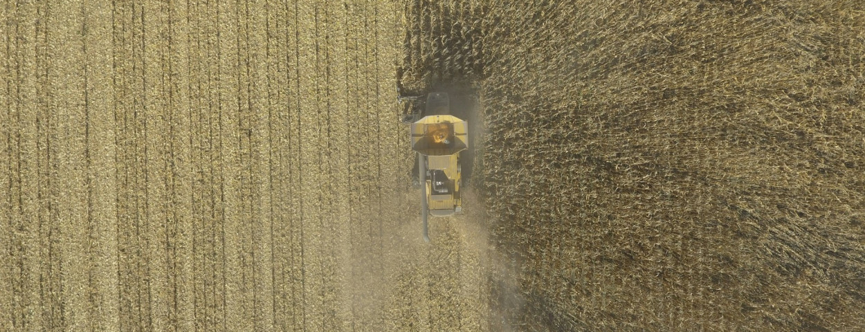 landbouw_unsplash
