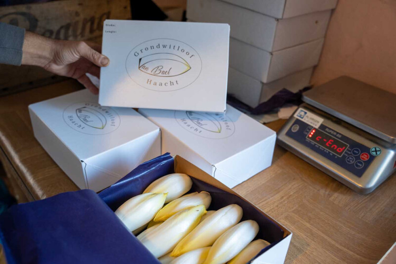 Nieuwe verpakking Brussels Grondwitloof