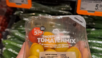 Marokko kijkt nadrukkelijk naar zee voor irrigatie landbouwgewassen