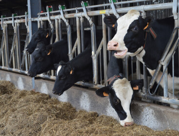 Cd&v wil voedselzekerheid in de grondwet: “Verdwijnen van landbouwgrond is een bedreiging”