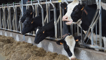15 leuke landbouwweetjes van VILT-lezers