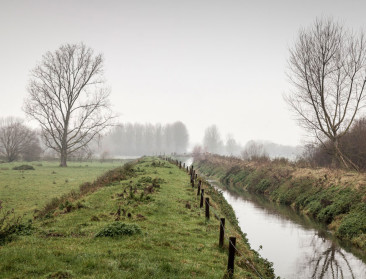 Stikstof en fosfor blijven probleem voor waterkwaliteit