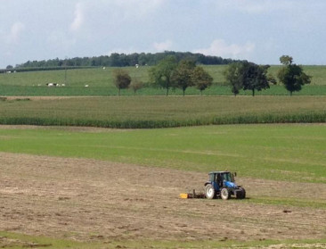 Liberalen en socialisten in EU-Parlement willen standpunt lidstaten volgen over natuurherstelwet