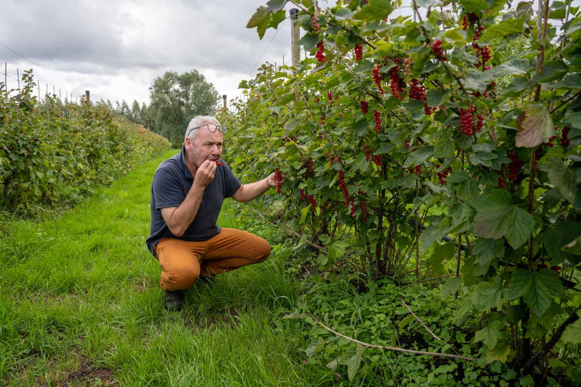 Bart Van Parijs in zijn zelfpluktuin