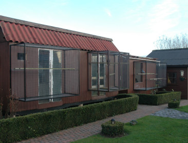 Ophokplicht duurt voort maar duif mag kort uitvliegen