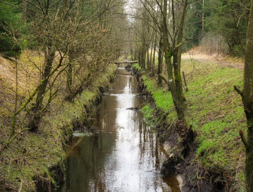 Waterpeilen en grondwaterstanden in Vlaanderen dalen verder door aanhoudende droogte