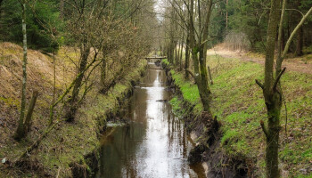 Waterpeilen en grondwaterstanden in Vlaanderen dalen verder door aanhoudende droogte
