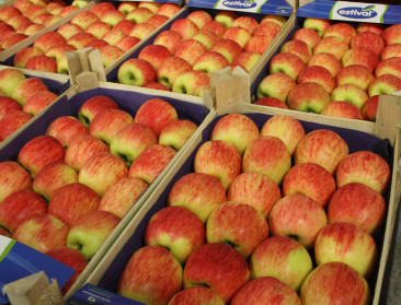 Medvedev waarschuwt voor verlenging Russisch embargo