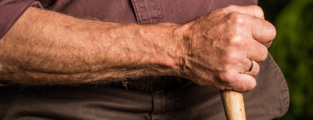 hand-g1bd4cec69_1280