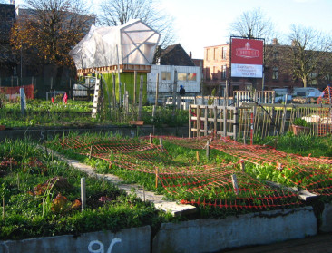 Stad Gent koppelt landbouwbeleid aan lokaal voedselbeleid