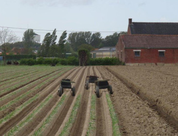 Vanthemsche: "Vergroening is geen business as usual"