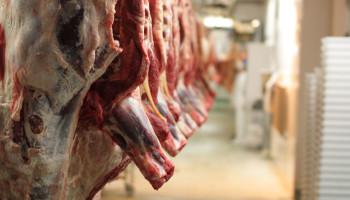 Dan toch geen doorstart voor slachthuis van Bastenaken