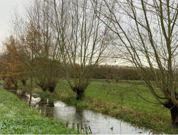 Projectsubsidie 'Natuur' investeerde voorbije decennia 49 miljoen euro in Vlaamse natuur