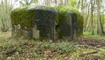 Natuur en Bos verwerft domein van 190 hectare van privé-eigenaar