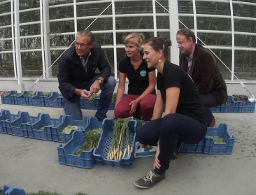 Proefcentrum experimenteert met delicatessegroenten