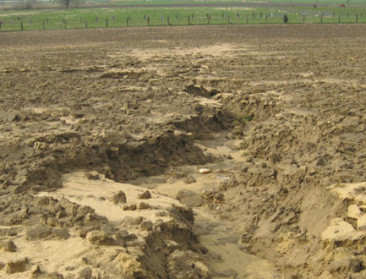 "Bodem op 33 procent van landbouwgrond beschadigd"