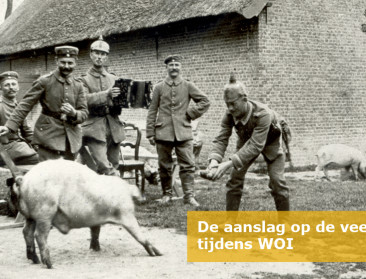 De aanslag van WO I op onze veestapel