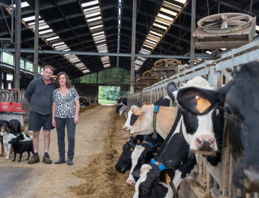 Van vleesvee in Vlaanderen naar melkvee in Wallonië: “De vrijheid om te boeren is hier groter”