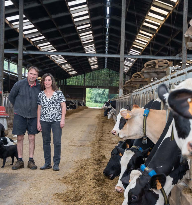 Van vleesvee in Vlaanderen naar melkvee in Wallonië: “De vrijheid om te boeren is hier groter”