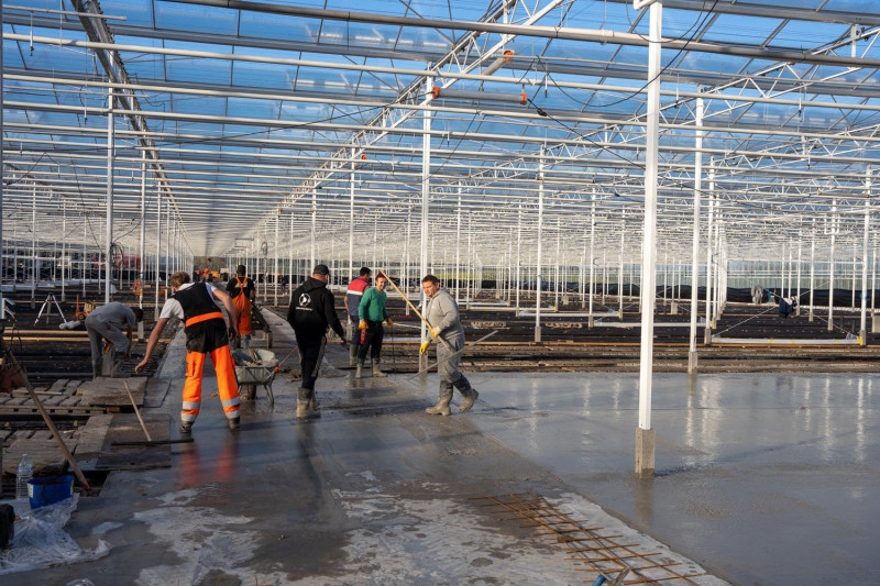 Chrysantenteelt Vlaanderen_nieuwbouw serre