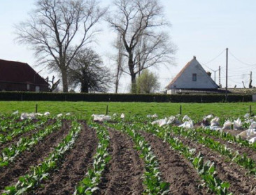 VIVES leert jongelui rationele aanpak bedrijfsovername