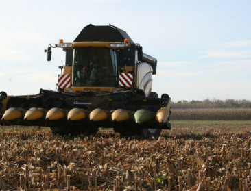 Akkerbouwgewassen tekenen lagere opbrengst op in 2020