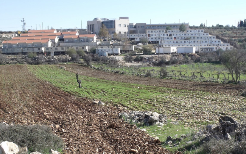 Economische sancties tegen Israël: Wat betekent dit voor onze voedingsector?