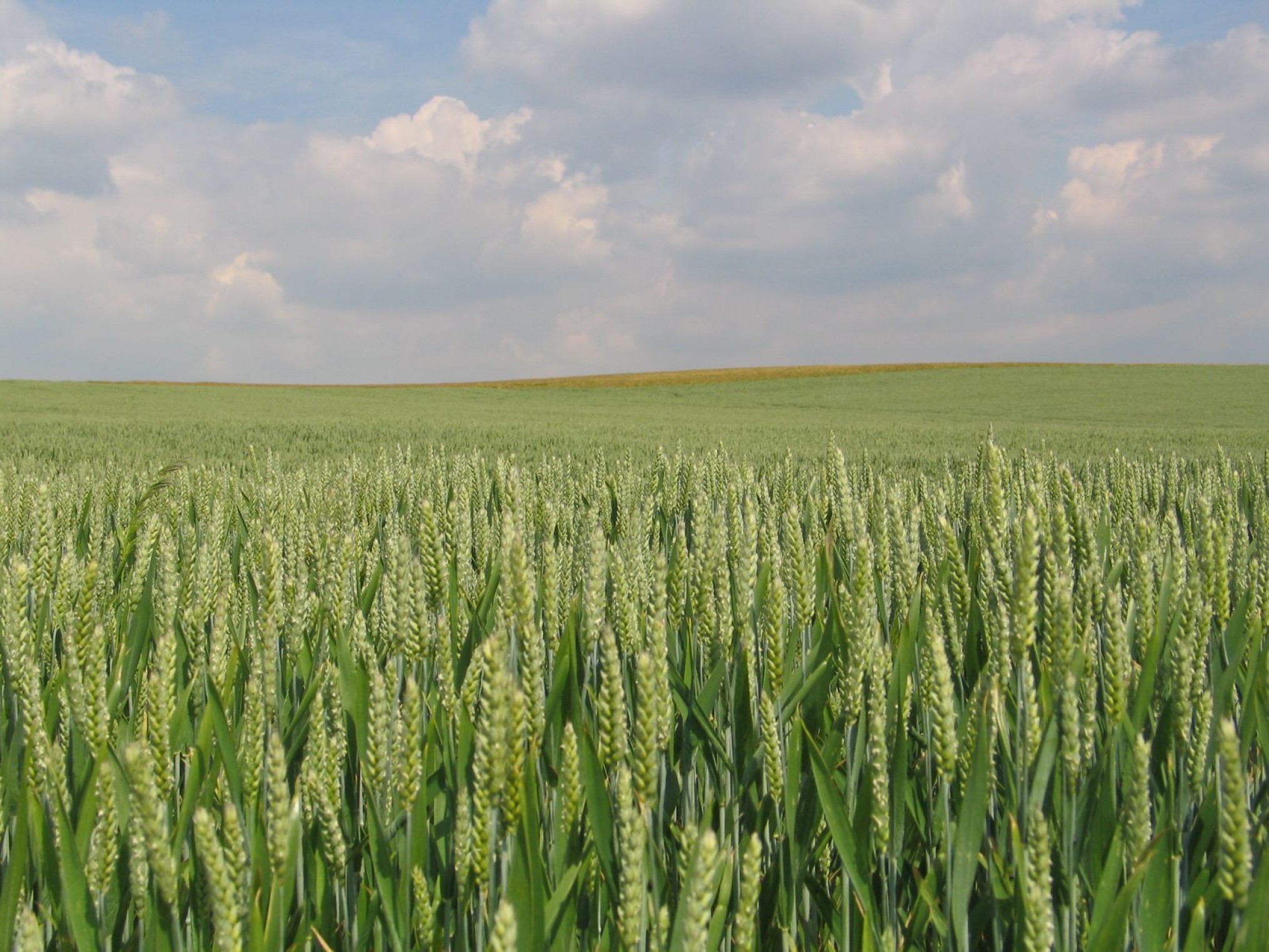 Graanvergadering najaar 2022 (Ninove)