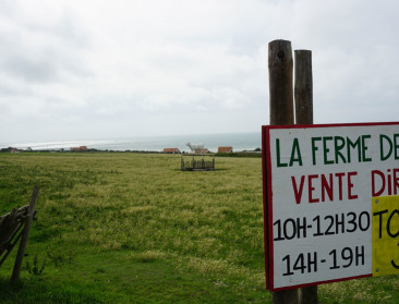 Spieken in buurlanden in functie van agromilieubeleid