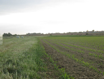 EU financierde steunmaatregelen niet vanuit crisisfonds