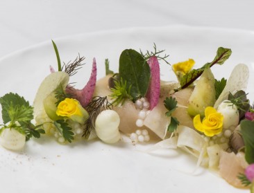 Weinig Belgen kennen belang viskeuze voor marien milieu