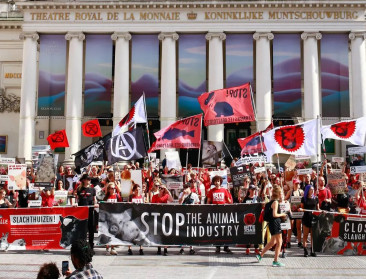 Bite Back protesteert tegen veehouderij: "Subsidieer liever plantaardige industrie"