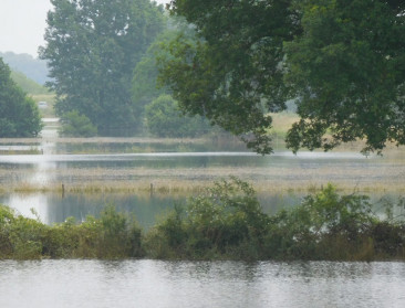 Natuurpunt ziet zijn natuurgebieden als klimaatbuffers