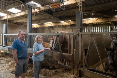 Monique en Marc Cobbaert voor Belgische trekpaarden