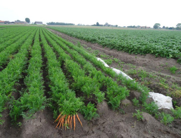 Minister zoekt oplossing voor misgelopen Rusland-steun