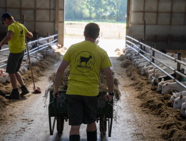 Limburgs geitenbedrijf zorgt voor het bewijs: "Landbouw vervult ook zorgtaken"
