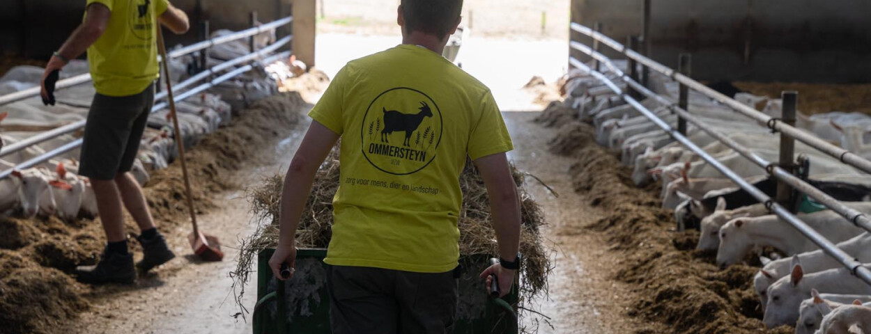 Ommersteyn vzw zorgboerderij