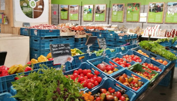 Maken supermarkten meer winst op bioproducten?
