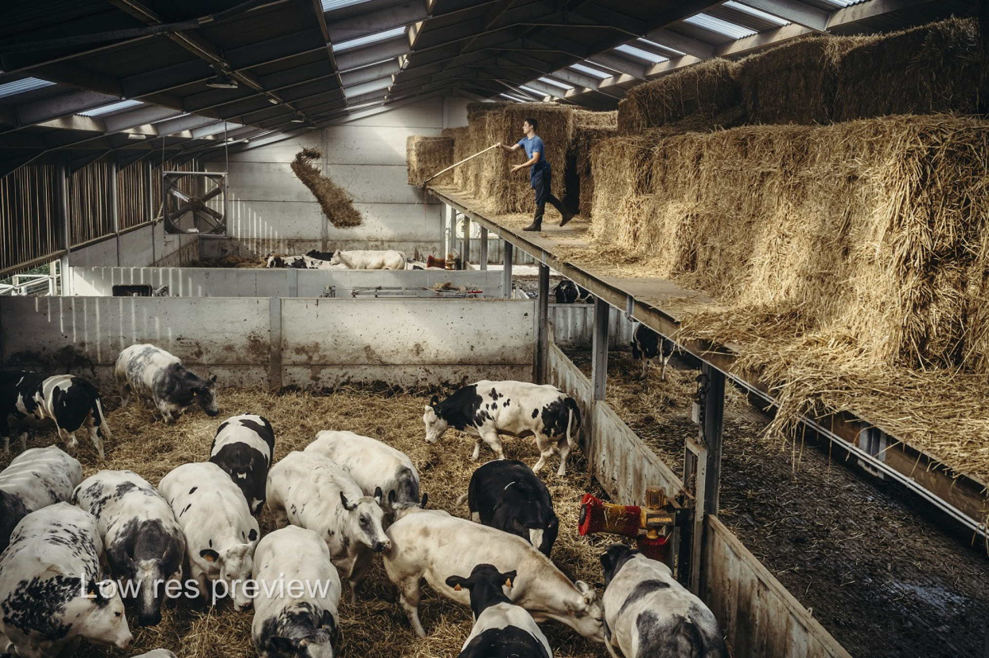 fotoreportage-VLAM-jimmyKets-vleessector-2-1250