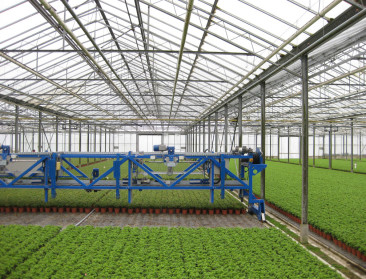 Wat als je euro's en niet hectaren neemt als maat?