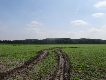 Onderzoek naar neonicotinoïden bleek opgezet spel