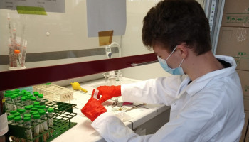 Soja uit 1.150 Vlaamse tuinen rijp voor het labo