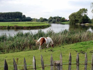 Vlaamse regering stelt intendant aan voor rivierherstel langs de Leie
