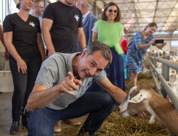 Premier De Croo bezoekt geitenbedrijf tijdens Dag van de Landbouw