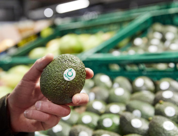 Innovatieve tweede schil houdt avocado's langer vers